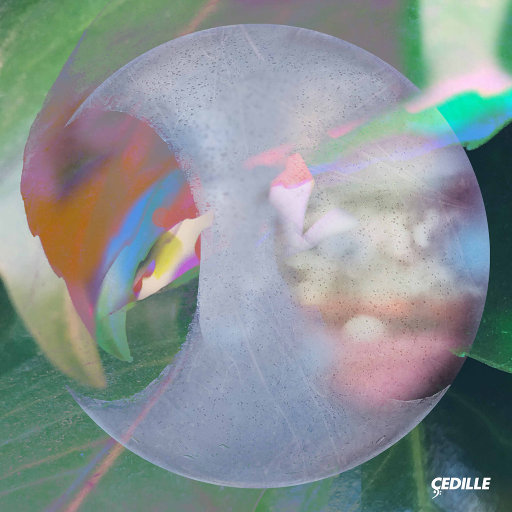 91资源总站视频在线观看
